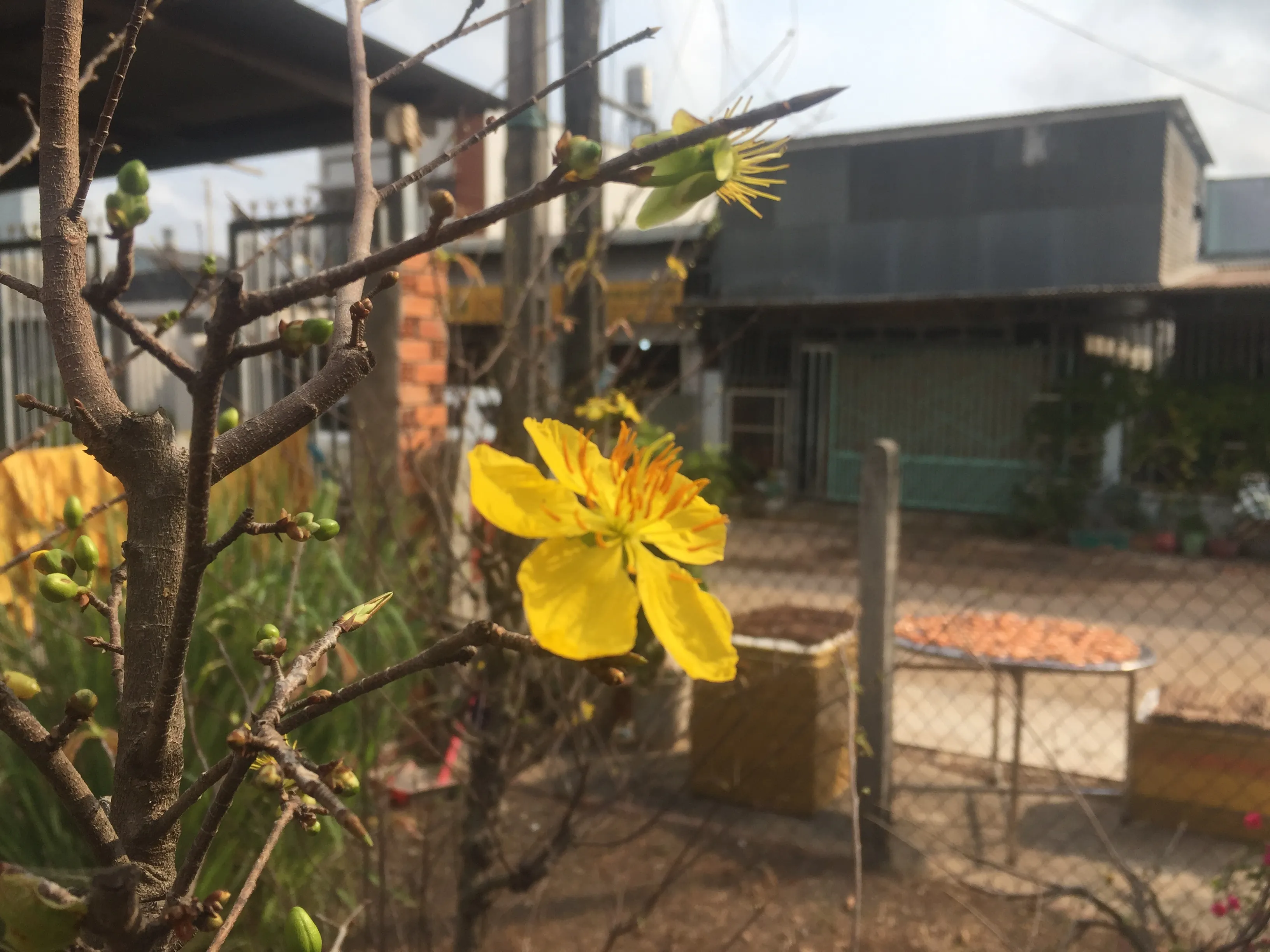 Spring Stories