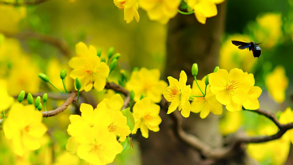 A late spring