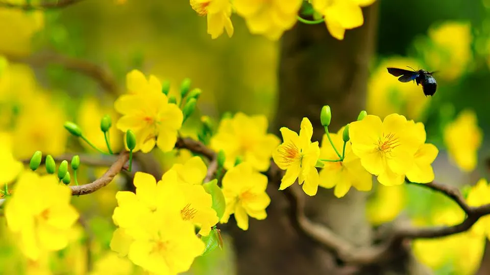 A late spring