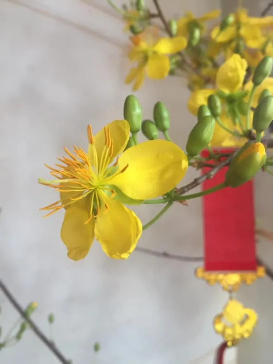 Spring Stories 9